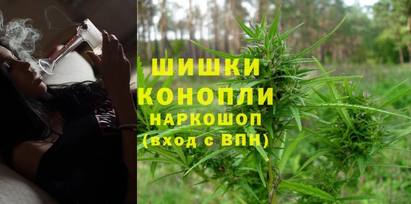 дурь Богданович